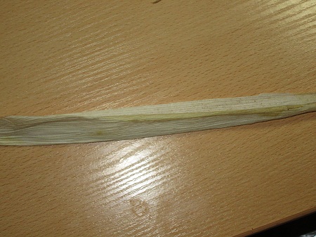 2. Вырезаем листочки.