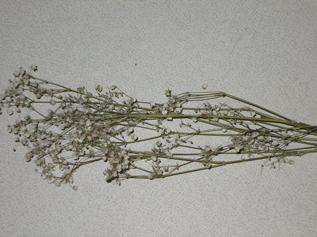 3. В сердцевину можно вставить сухие цветы, получатся тычинки.