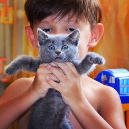 Дорожко Кирилл